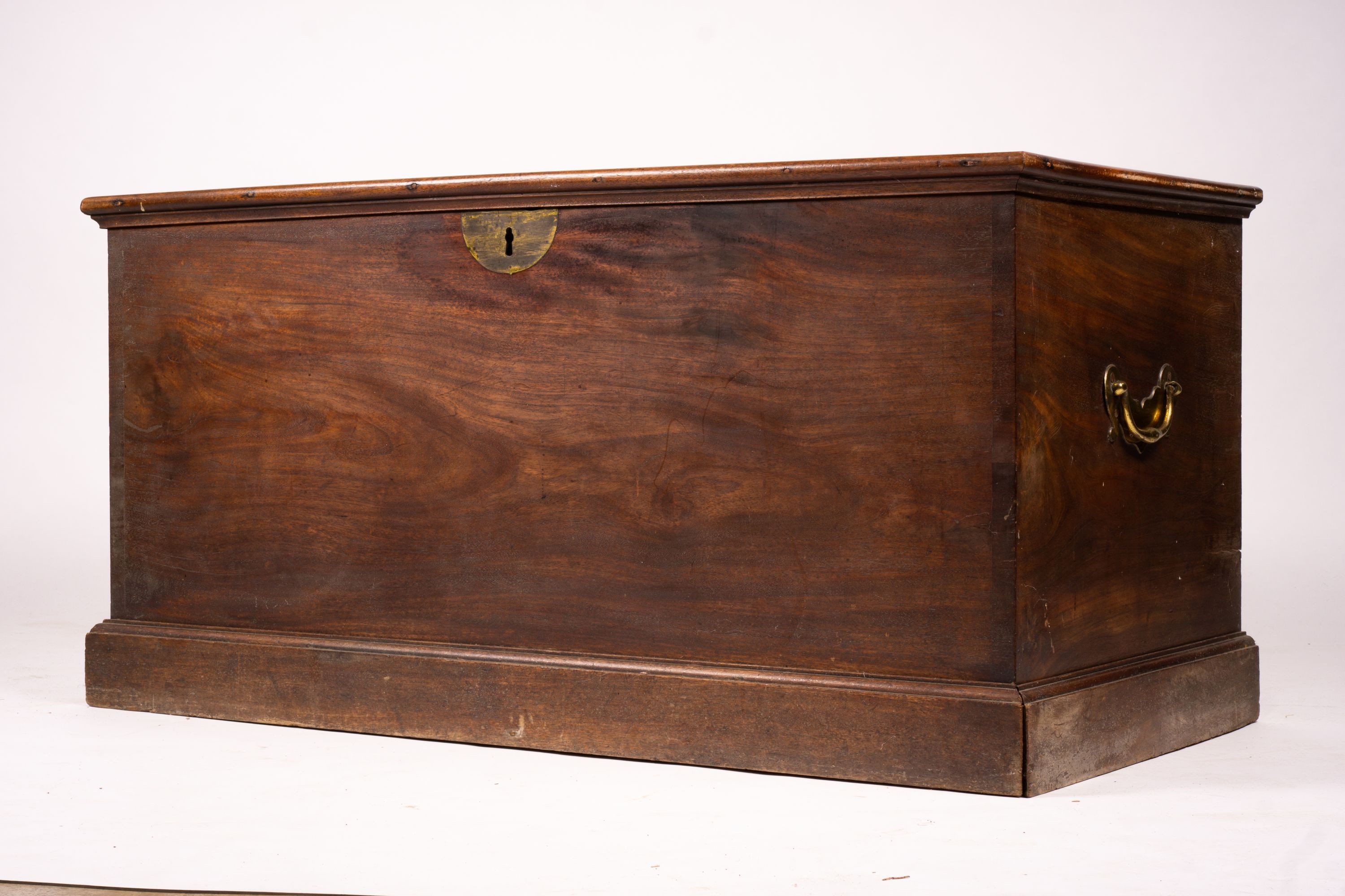 A large 19th century mahogany trunk with brass side handles, length 125cm, width 63cm, height 62cm